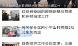 红安新闻爆料最新消息,重大事件引发社会关注